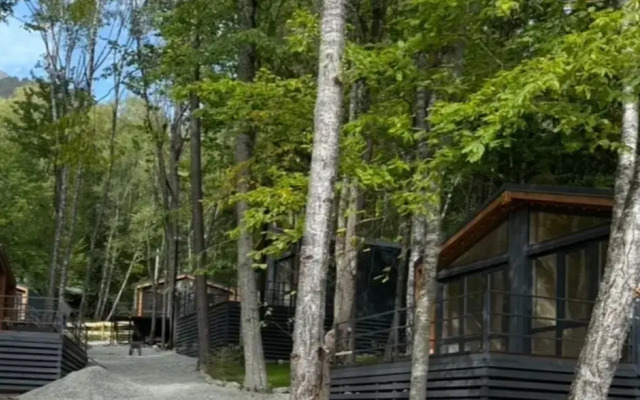 База отдыха Шепот леса