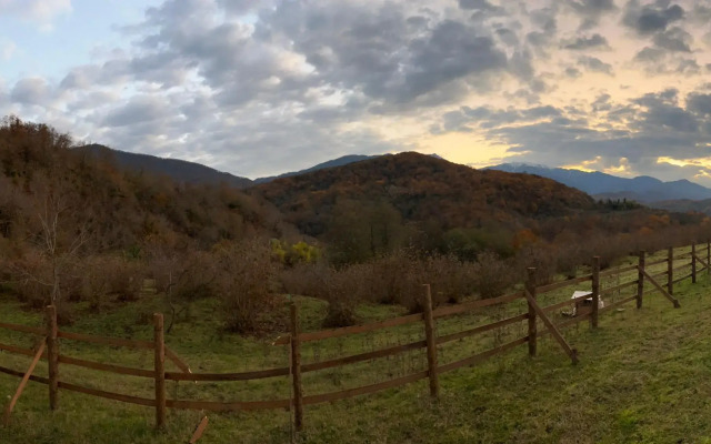 Gulyaj Pole Glamping