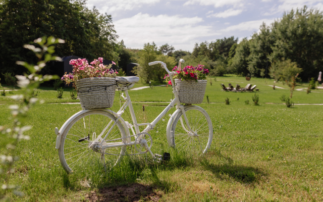Glampoint Glamping