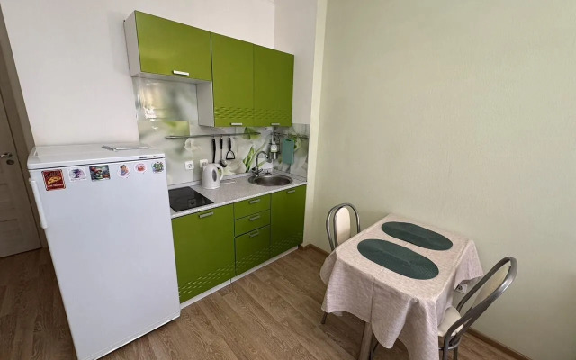 Квартира на Ветеранов 171к5