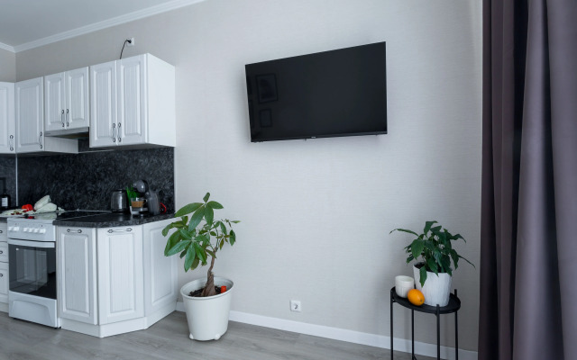 Квартира Homely у Лесной Satin home