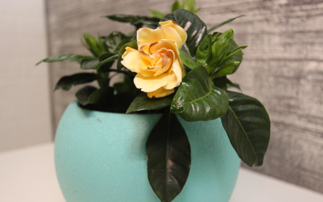 Апартаменты Loft-Apart студия «Хай-Тек»