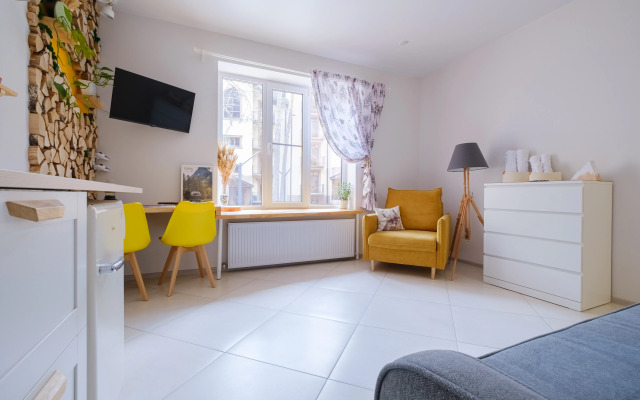 Квартира Студия "Шишки"