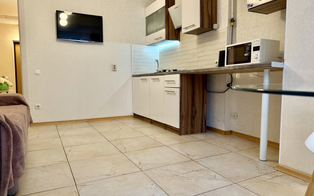 Апартаменты Родионова 197