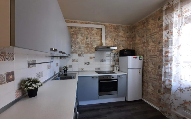 The Loft Dvukhkomnatnye Na Yubileynom Pr 66 Apartments