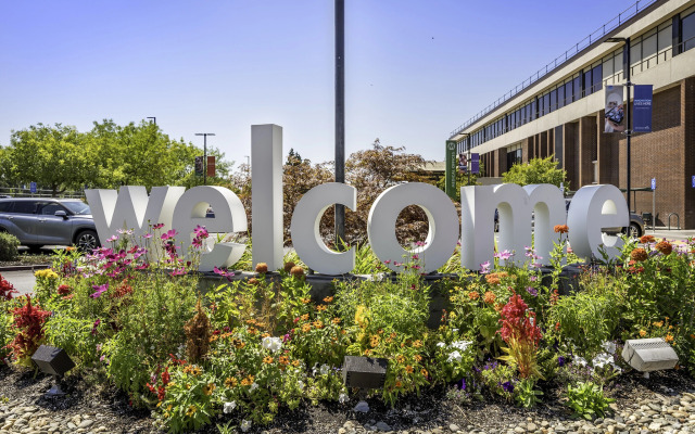 Гостевой дом Agora