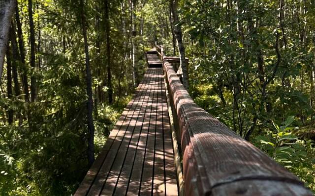 Парк отель в Тайге