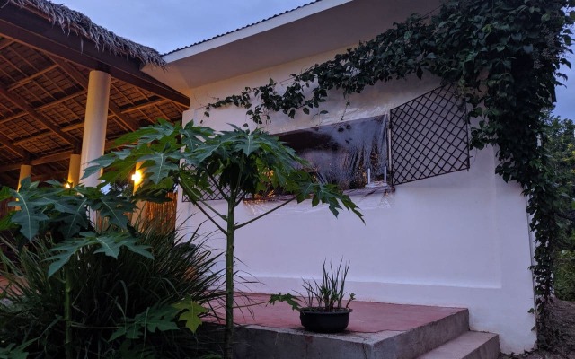 Funny Jellyfish Resort Hostel