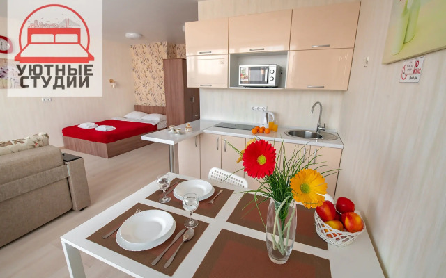 Уютная студия 4 на улице Фастовская