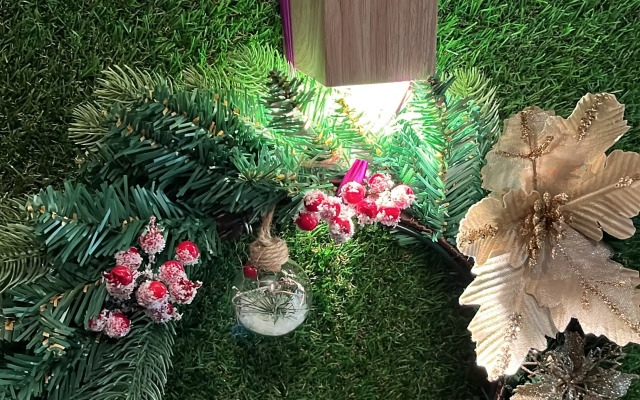 Частный дом уютный