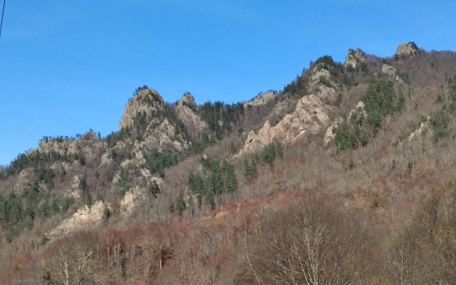 Меблированные комнаты Надежда