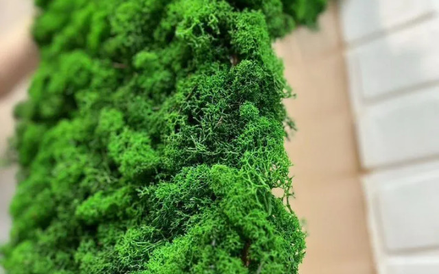 Квартира на Ломоносова 3А