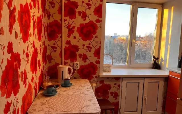 V Tsentre Goroda Permy Belinskogo 51 Flat