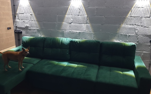 Апартаменты Green Lamp Downtown