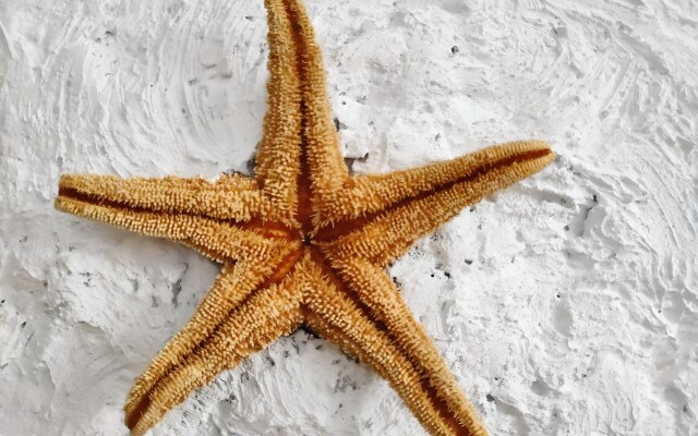 Вилла Тропик Увильды