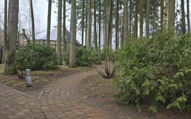 Частный Дом в Лесу