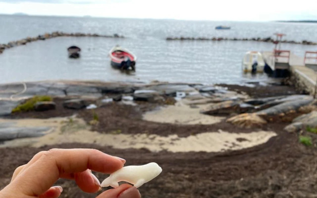 База отдыха Лопский берег