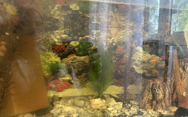 Uyutnaya Dvukhkomnatnaya S Akvariumom Flat