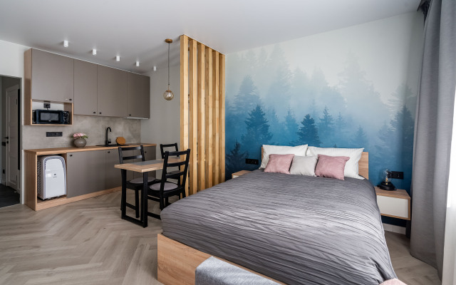 Квартира Балтийские ночи Студио