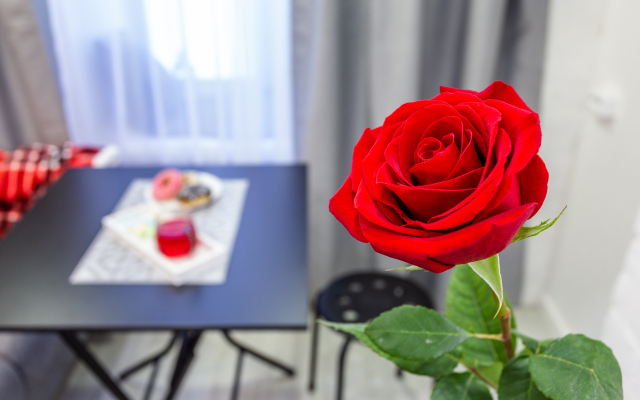 Апартаменты Quartet на Дегтярном 3