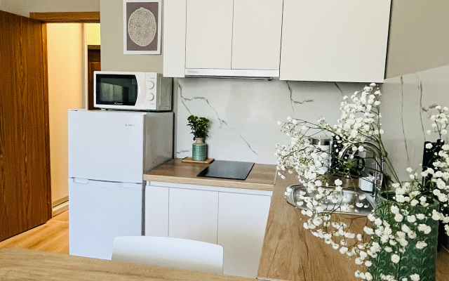 Uyutnaya Studiya V Pesochnom Flat