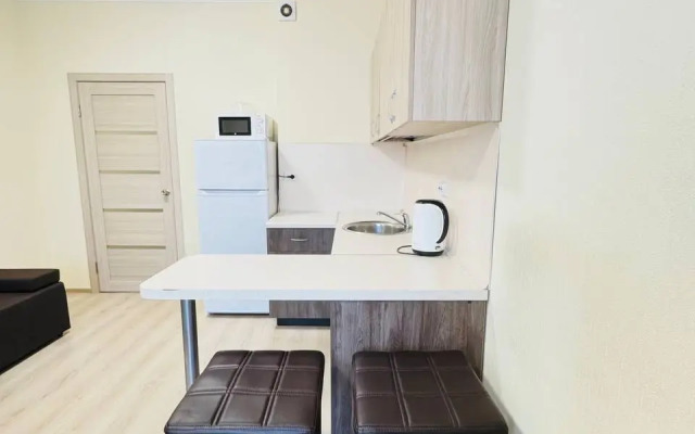 Uyutnaya Studiya U Metro Chkalovskaya Yekaterinburg Apart96 Flat