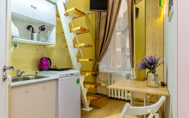 ROOMSTAY Griboyedov Channel Apartments