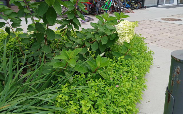 Квартира Студия правая на Зеленом бульваре