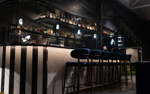 Hotel Aviator Sheremetyevo