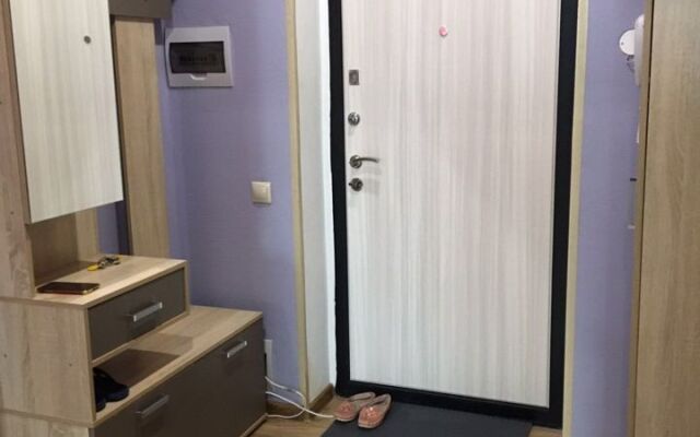 Апартаменты на улице Чкалова 18 в центре