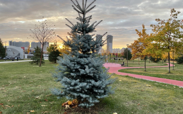 Апартаменты 124 Art Aparts на Ходынском Бульваре 2