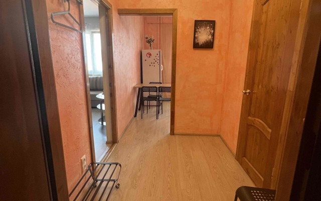 Апартаменты на Склизкова 116