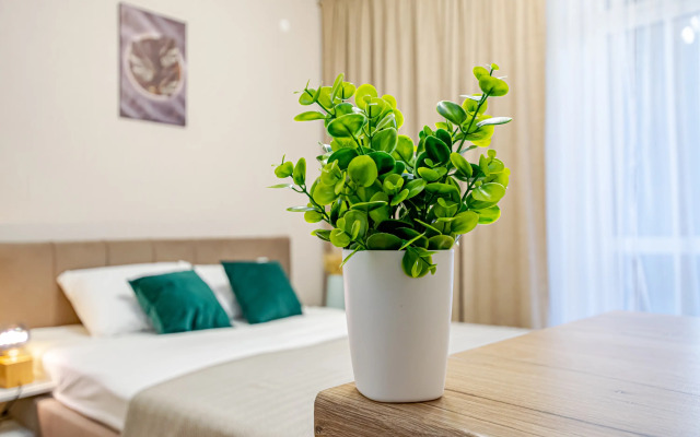 Uyutnaya sovremennaya studiya na Parkovom Flat