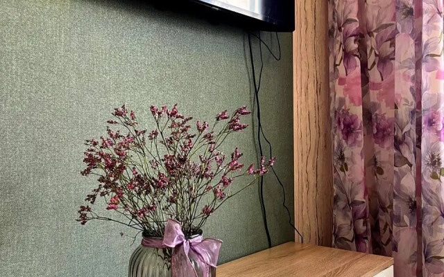 Апартаменты однокомнатные с видом на горы