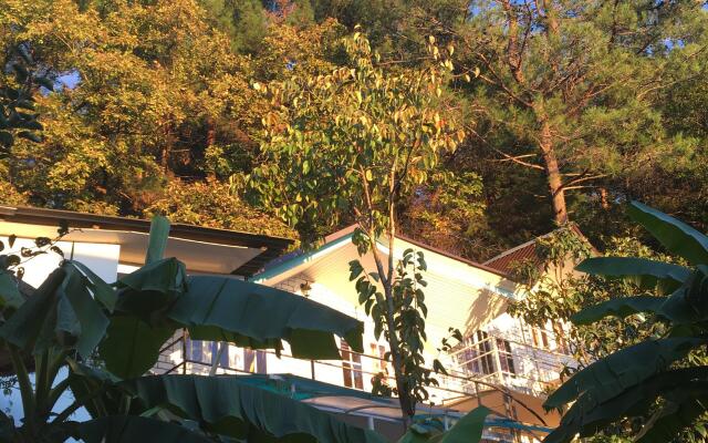 Nika Guest House