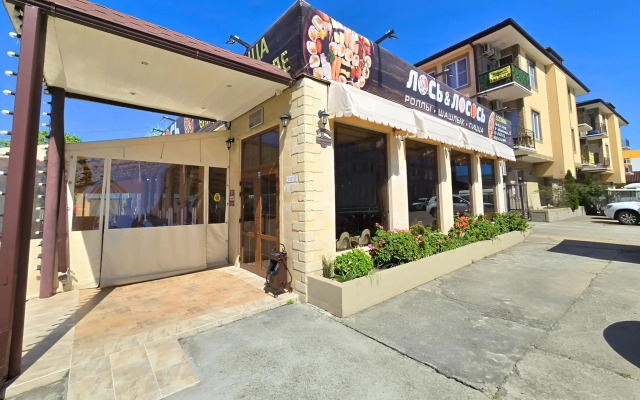 Квартира в Сириусе Олимпийский парк