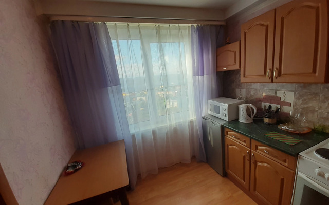 Апартаменты с 1 комнатой с красивым видом на город (КВАРТИРА51)