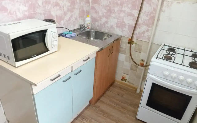 Odnokomnatnyie Ekonom Apartments