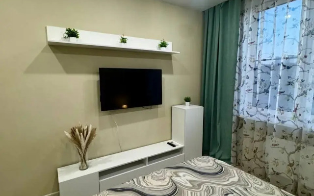 Kvartira-studiya 30 m2 Flat