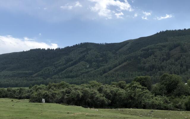 Sky Yurts Camping