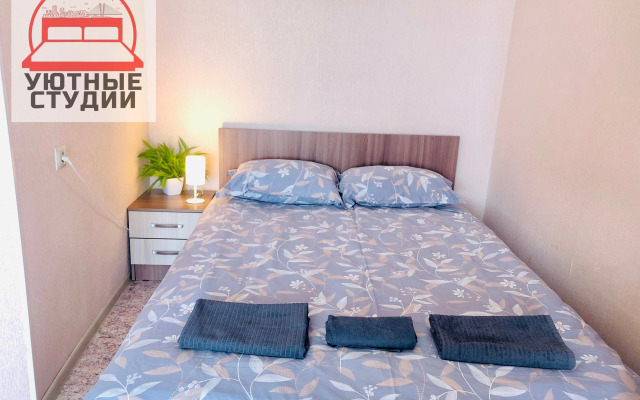 Уютная однокомнатная квартира на Луговой во Владивостоке