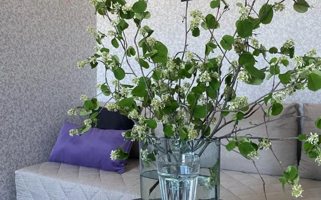 Квартира на Мурысева 65