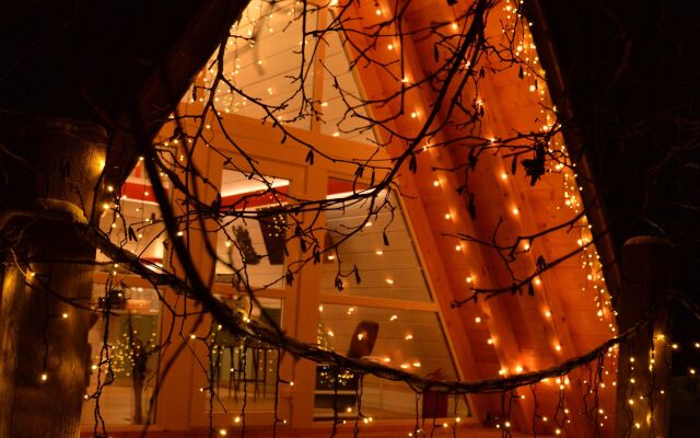 A-Frame Dubhouse Private house
