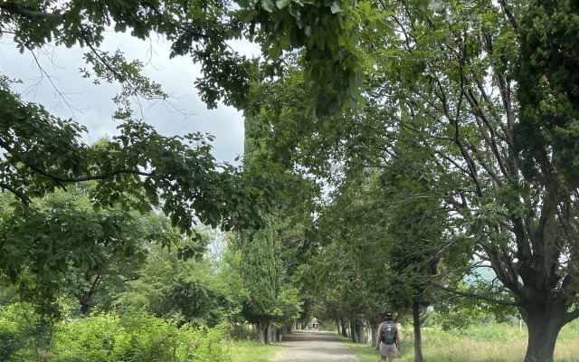 Гостевой дом Вишневка