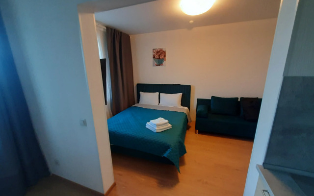 Studiya U Ladozhskogo Vokzala Flat