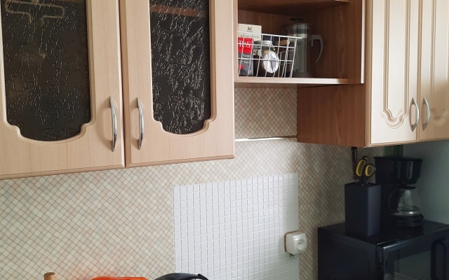 Ryzhiy Kot vozle Parka Apartments