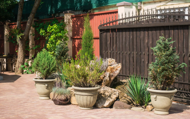 Lotos Guest house