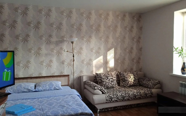 Квартира на Братской 96 (2)