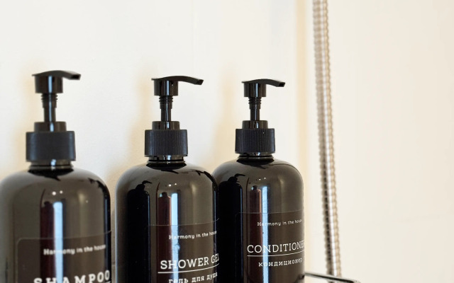 Квартира Светлая в самом центре Москвы