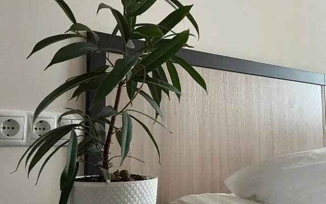 Mys Morya Mini hotel